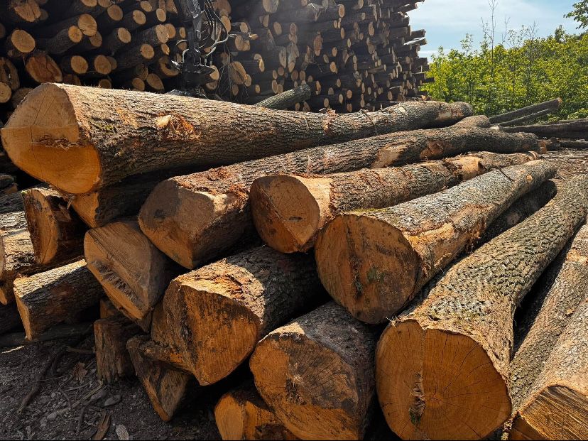 Lemne de foc la palet!