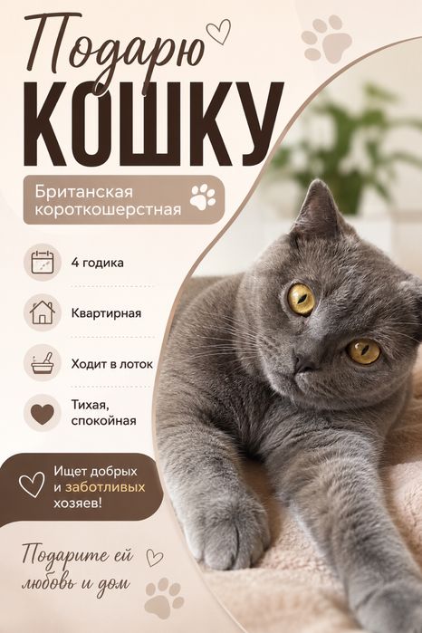 Бесплатно добрые руки