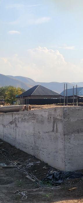 Долан лпх рассрочка