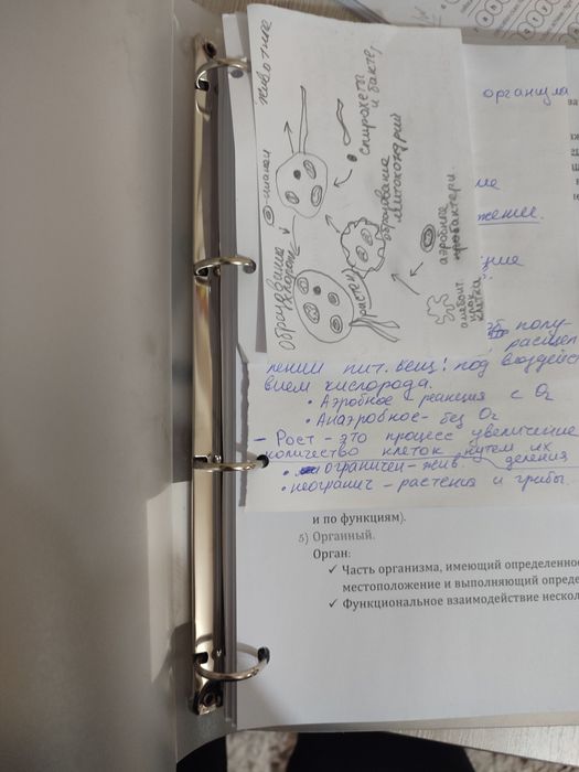 Файл, блокнот и тд. Множество назначений