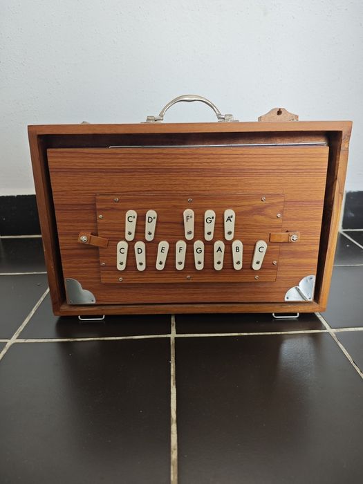 Шрути бокс (shruti box)