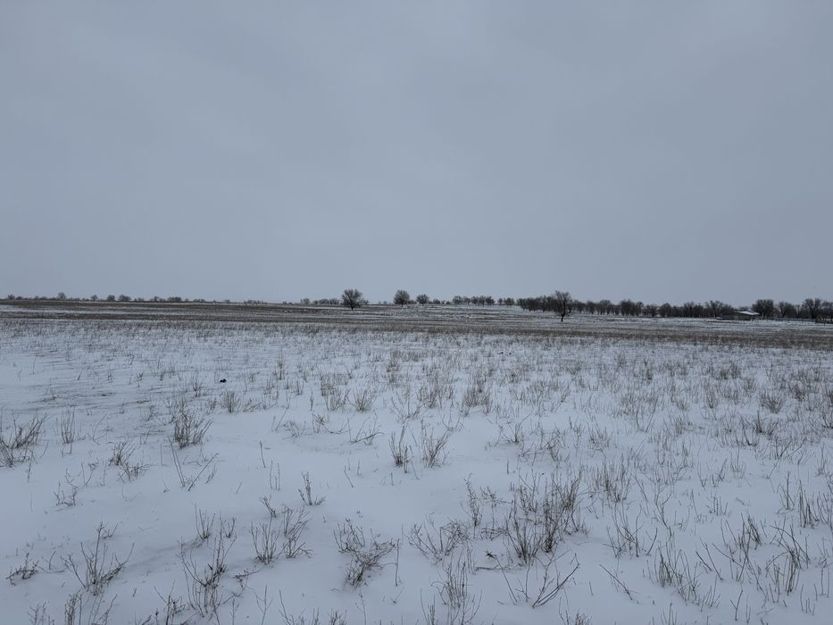 Продам ферму (фазенду)