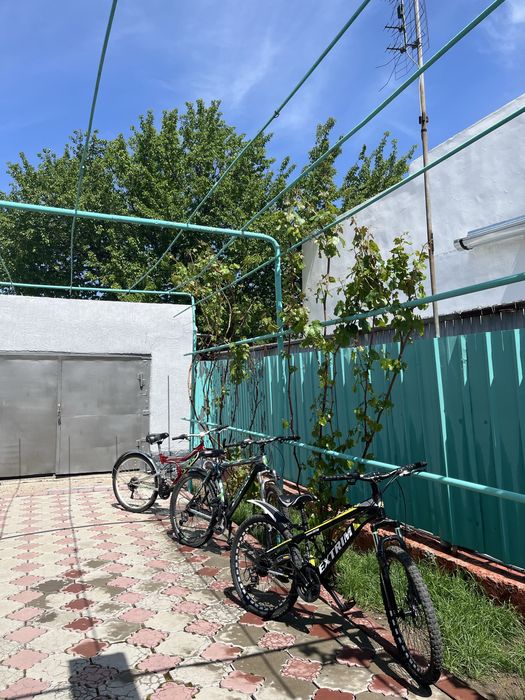 3 велика спортивные