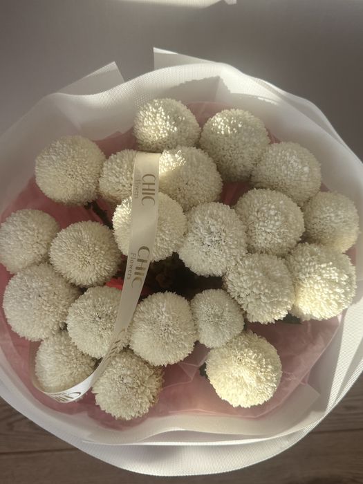 Момоко белые цветы