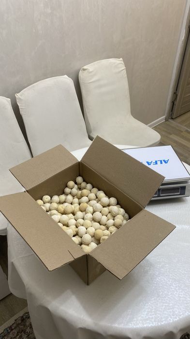 Қолдың құрты Курт Домашний