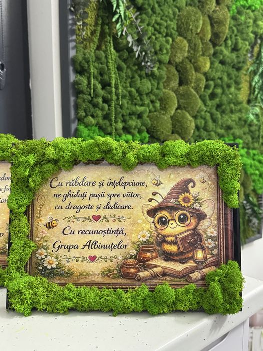 Realizez tablori personalizate cu licheni naturali si diferite plante.