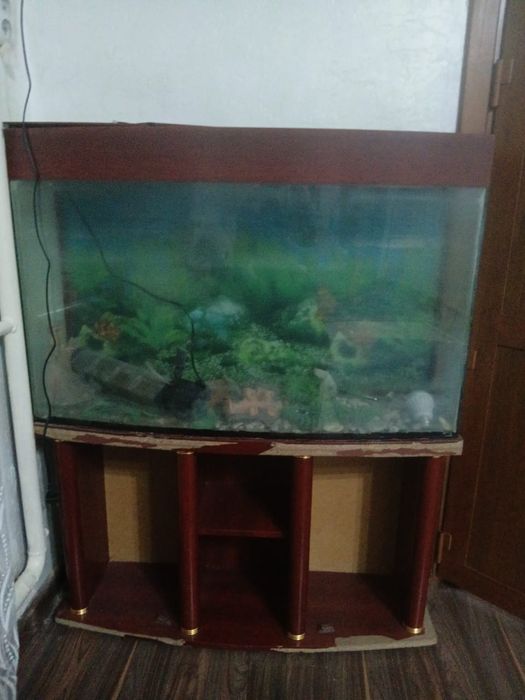 Аквариум 255 литров