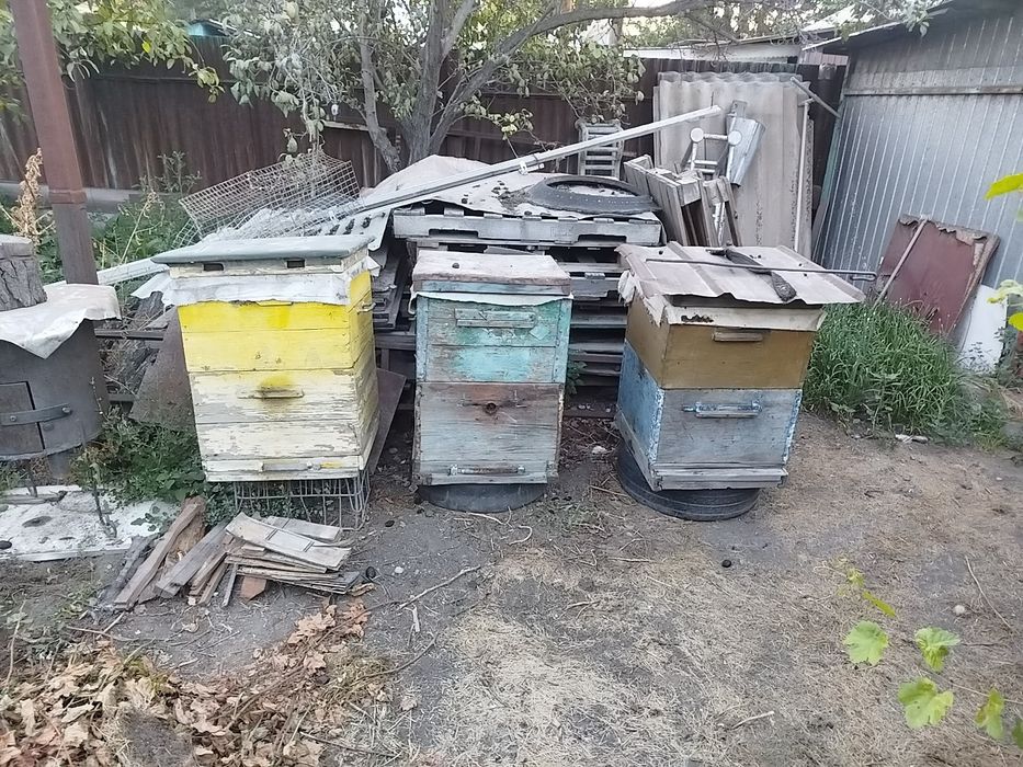 Улики для пчел двух ярусные