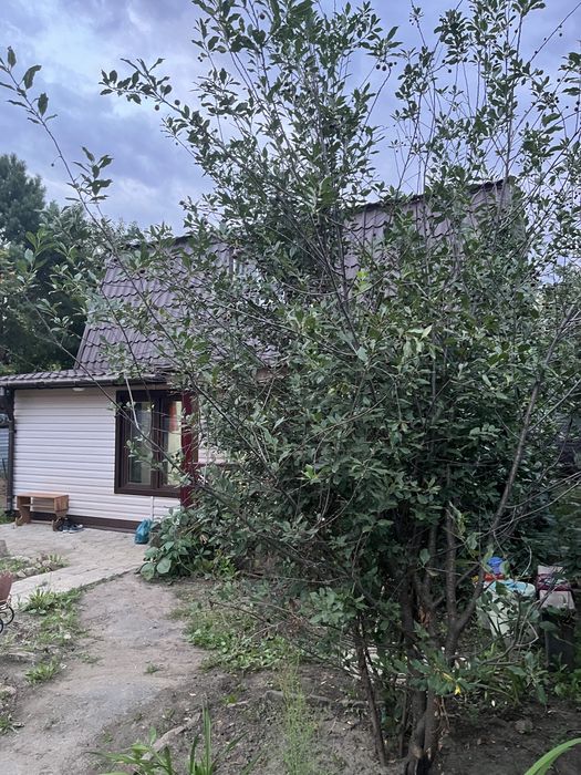 Продам дачу общество  Буревестник