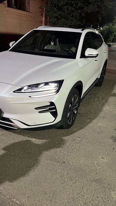 Byd champion Ev 2024