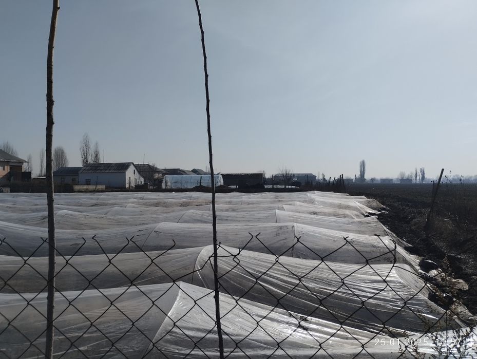 13 000 $. Uchastka sotiladi!