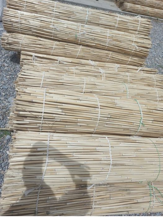 Қамыс    Камыс  .