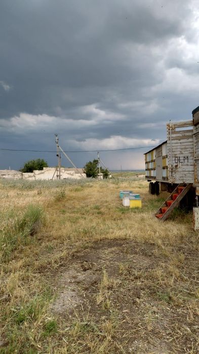 Мед свежий «Курай»