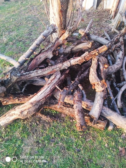 Продам дрова 250 тысяч сум