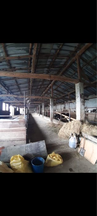 Продава се Парцел в с. Голямо църквище, Област Търговище - 454 кв.м за 152 €/кв.м - Снимка #4