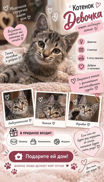 Котенок ищет дом и любящих родителей!