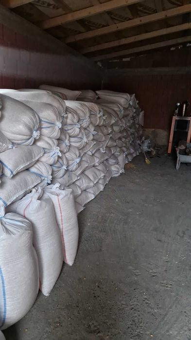 Transpot gratuit porumb cu 1.20 kg va servim la domiciliu