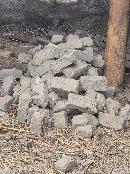 Хом гишт сотилади.