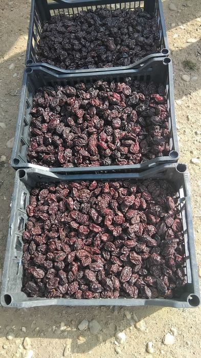 Vând prune uscare agen