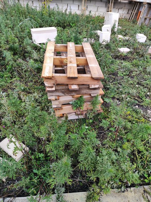 Поддоны в отличном состоянии