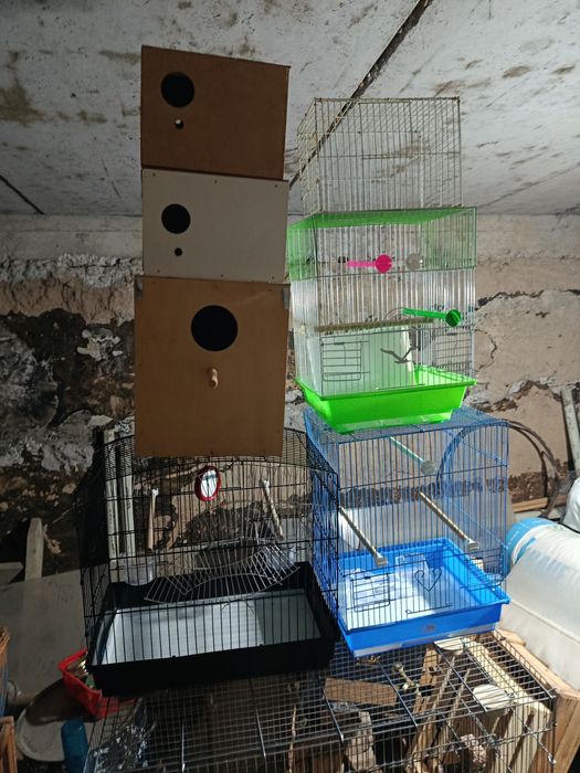 Всё за 500 тыс сум