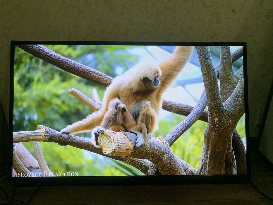 Самсунг 42телевизор в подарок смарт бокс новыи ,кронштеин,антена роуте