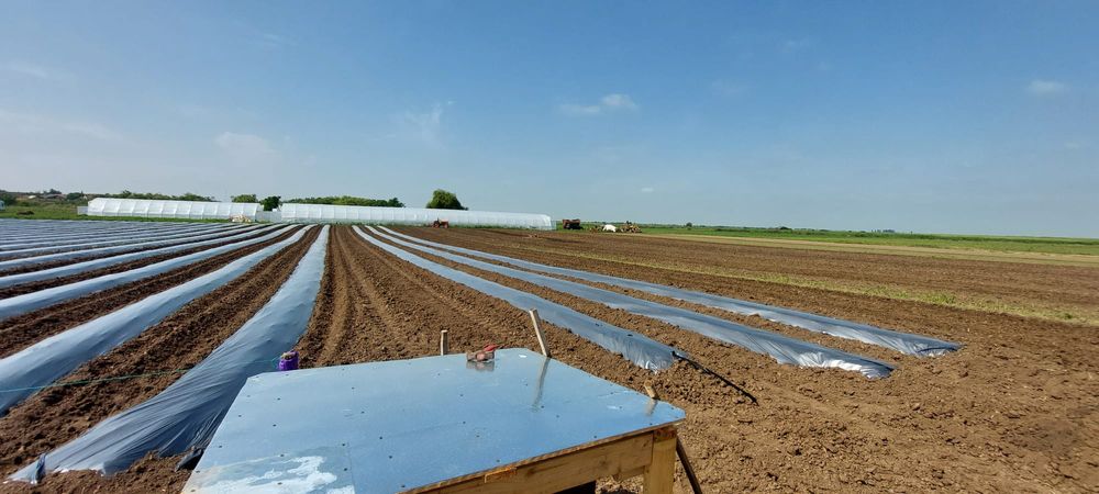 Mașină de bilonat/ Masina de intins folie cu freză Mitsubishi