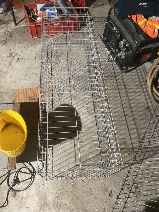 Cusca expunere  pasari iepuri