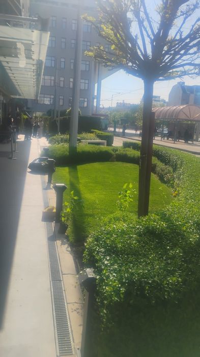 Косене на трева и поддръжка