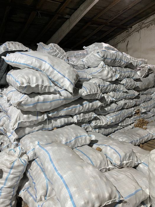 Продам картофель оптом и в розницу