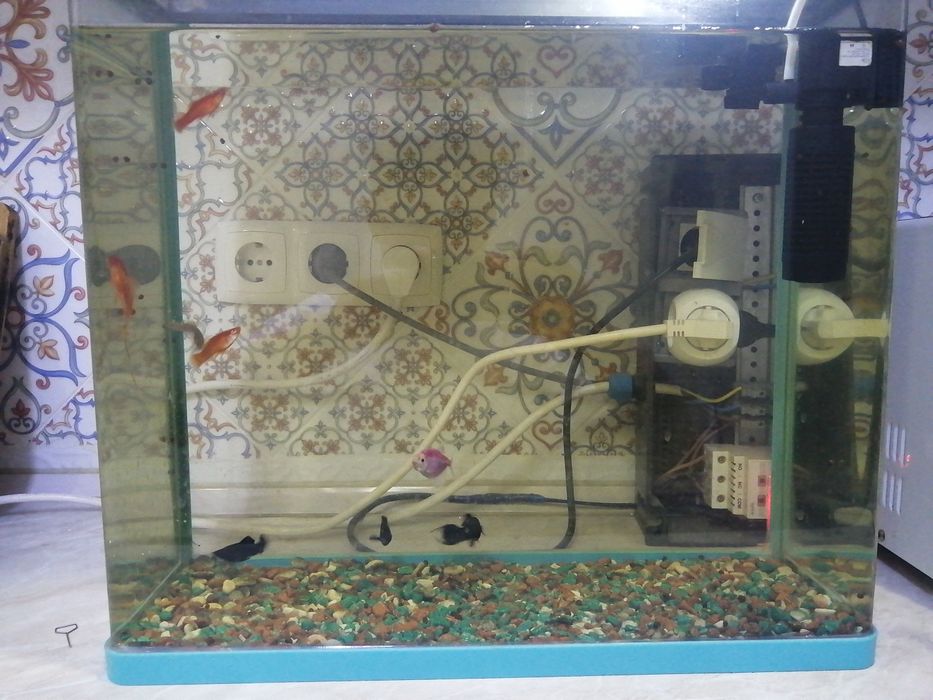 Аквариум 40 литровый.