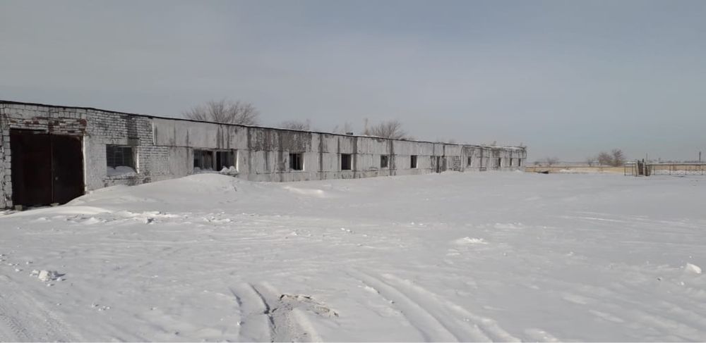 Продам подсобное хозяйство