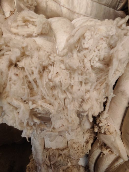 Таза жүн сатылады койдын таза иси жок ..ак  койдын жуни