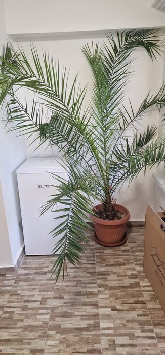 Отдава се студио(стая) под наем