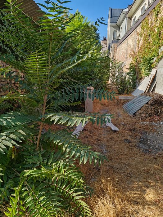 Свая участок на Циалковский 4,7 соток земля