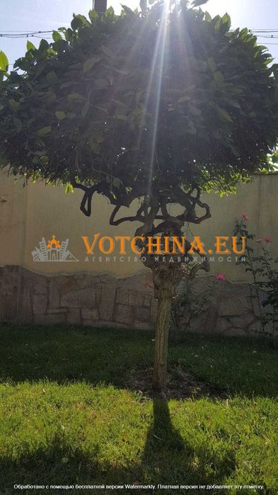 Продава се Къща в с. Езерец, Област Добрич - 150 кв.м за 1374 €/кв.м - Снимка #6