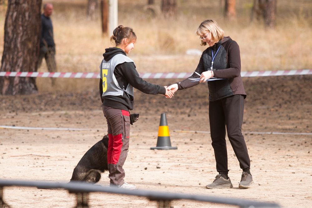 Дрессировка собак, кинолог