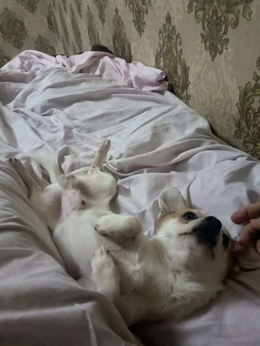 Мальчик ишо маленький