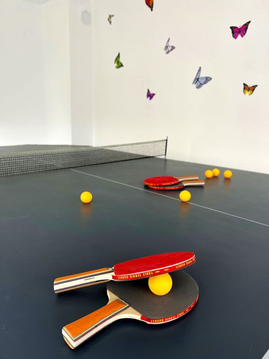 Camere de închiriat “Trandafirilor” (Cabana cu piscina in Jud. Cluj