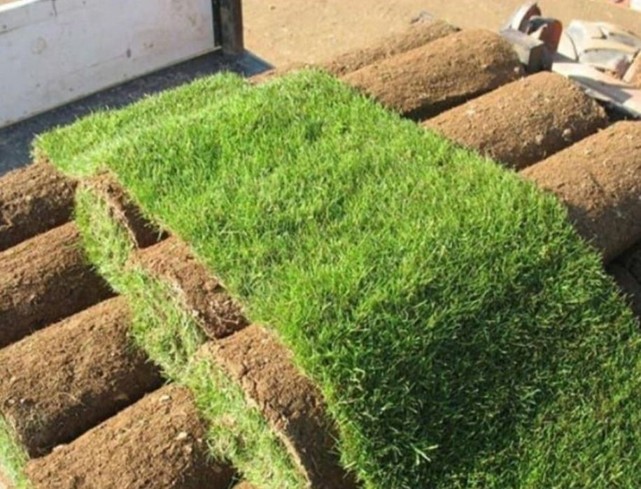 Gazon rulou, oferim transport montaj amenajat, indreptat etc