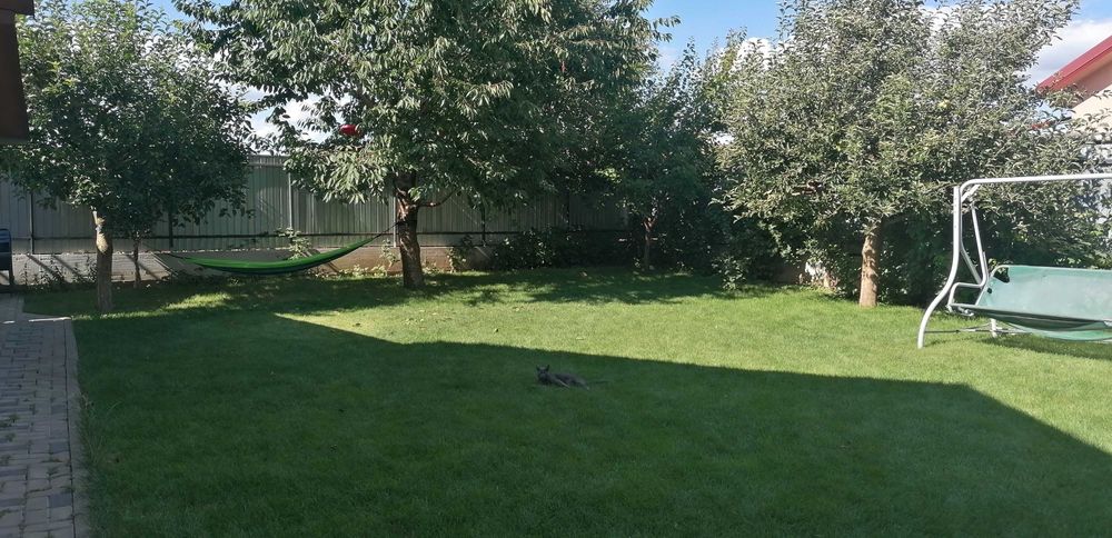 Casă de vânzare Letea Veche