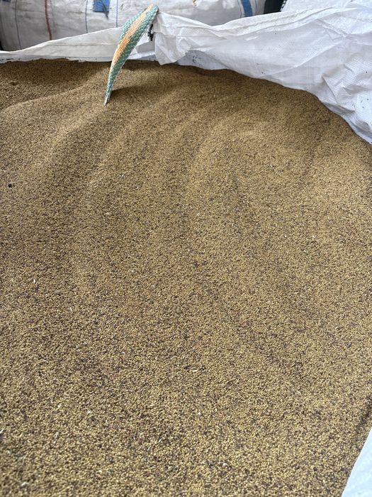 Vand 5000kg samanța de lucerna, calitate top, pret negociabil