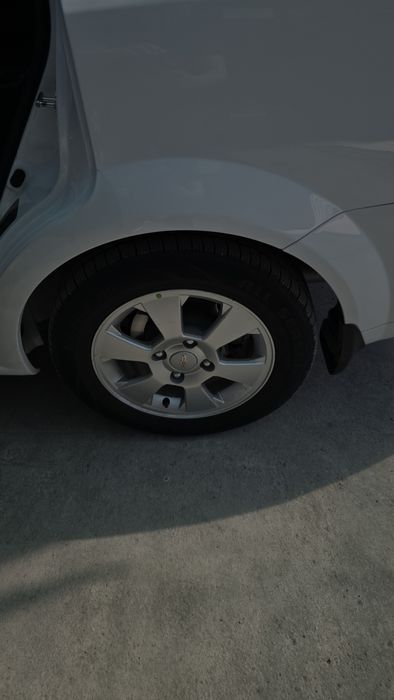 Jentra 2022 kraska tozza100%