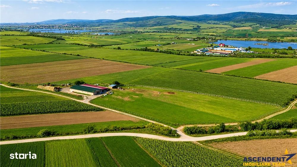 FILM! 18.000 mp, extravilan, agricol+ constructii:ferma,investitii agr