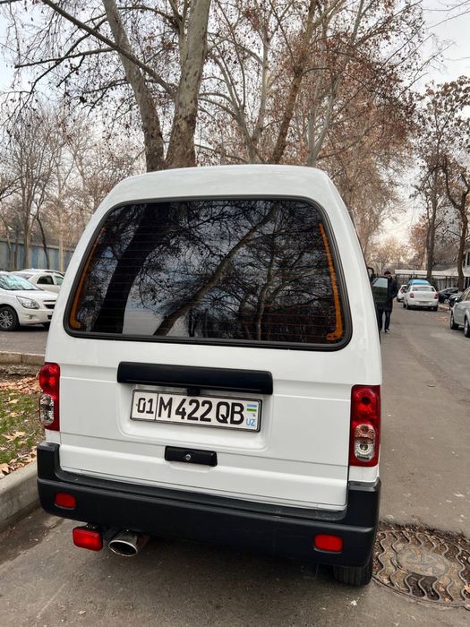 Damas 2023 Гази бор