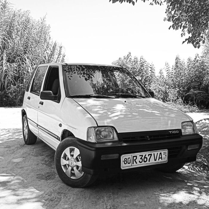 Tiko 1999 yil holati alo