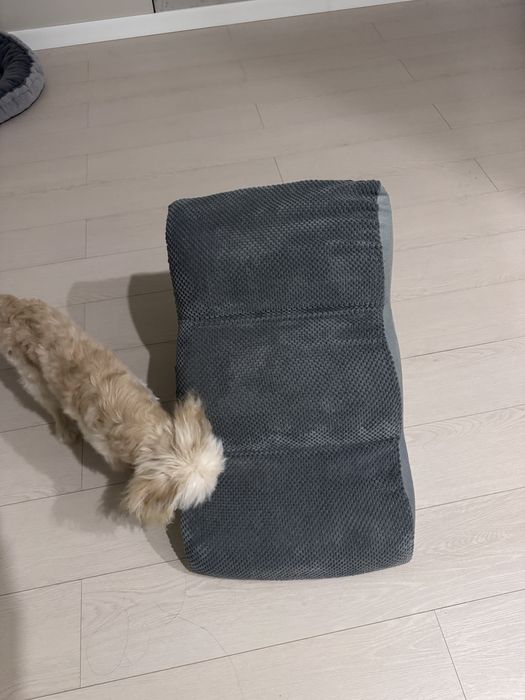 Лестница для собак