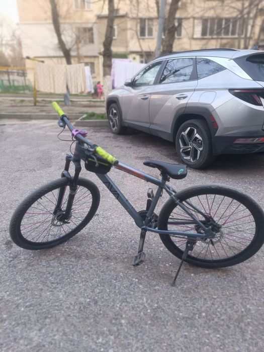 Велик ава күшты аелик