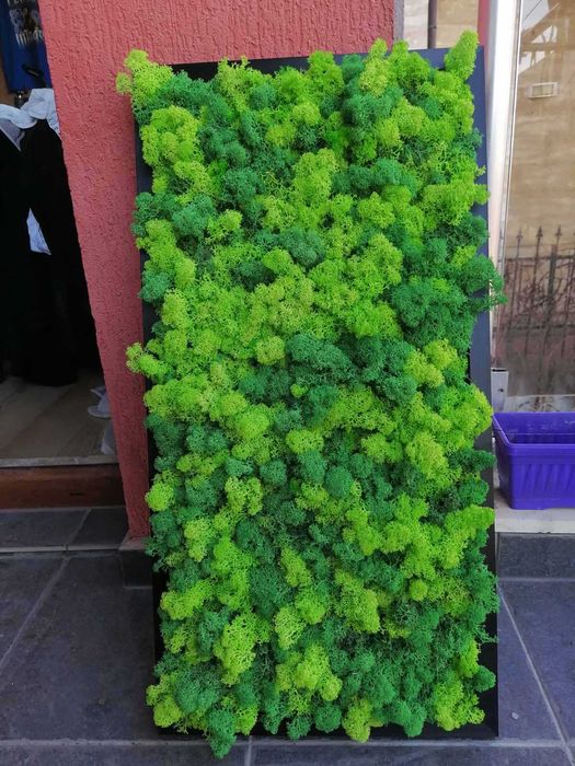 Пана и картини от скандинавски мъх , декорация от мъх , пано зелен мъх , пано с рамки или без рамка по поръчка