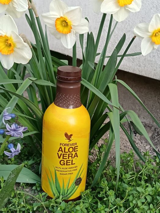 Gelul de aloe.